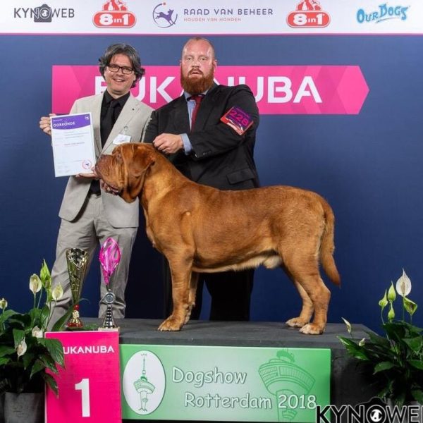 barney dogshow rotterdam